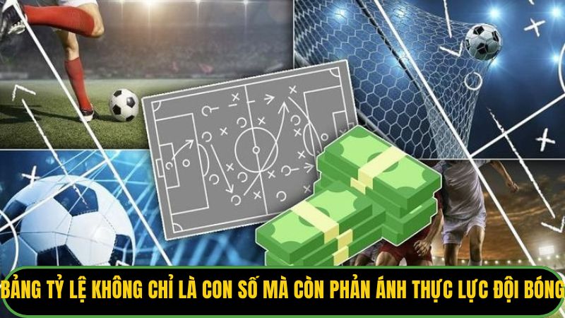 Bảng tỷ lệ không chỉ là con số mà còn phản ánh thực lực đội bóng.