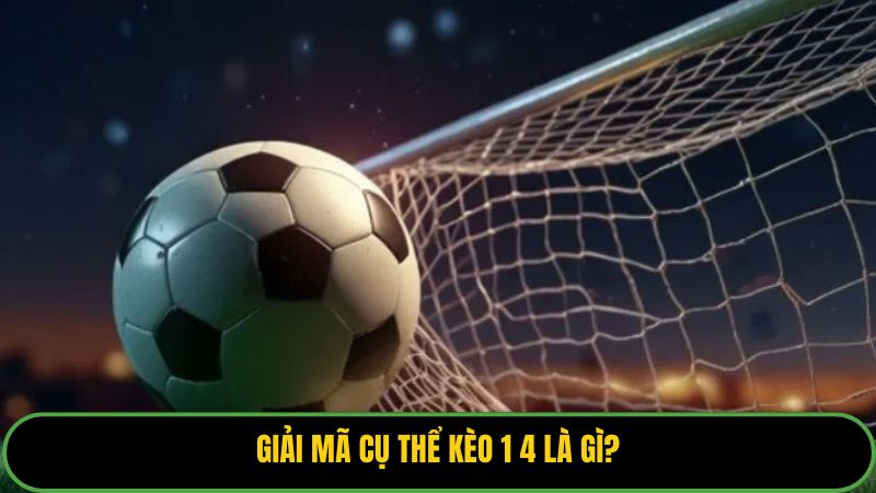 Giải mã cụ thể kèo 1 4 là gì?