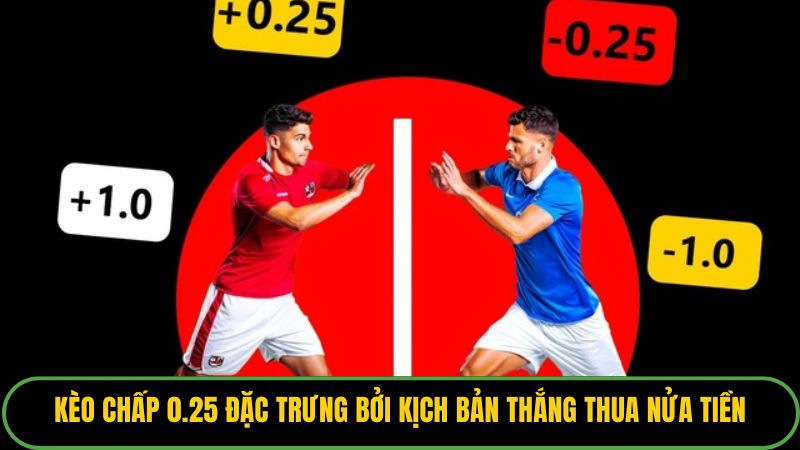 Kèo chấp 0.25 đặc trưng bởi kịch bản thắng thua nửa tiền.