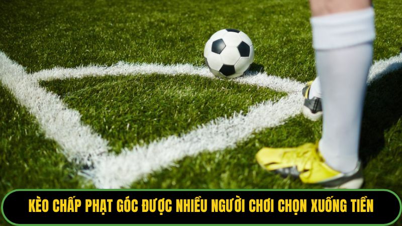 Kèo chấp phạt góc được nhiều người chơi chọn xuống tiền