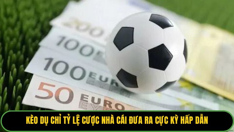 Kèo dụ chỉ tỷ lệ cược nhà cái đưa ra cực kỳ hấp dẫn