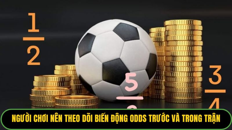 Người chơi nên theo dõi biến động odds trước và trong trận