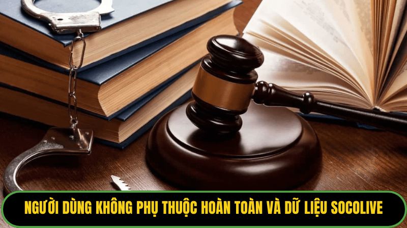 Người dùng không phụ thuộc hoàn toàn và dữ liệu Socolive