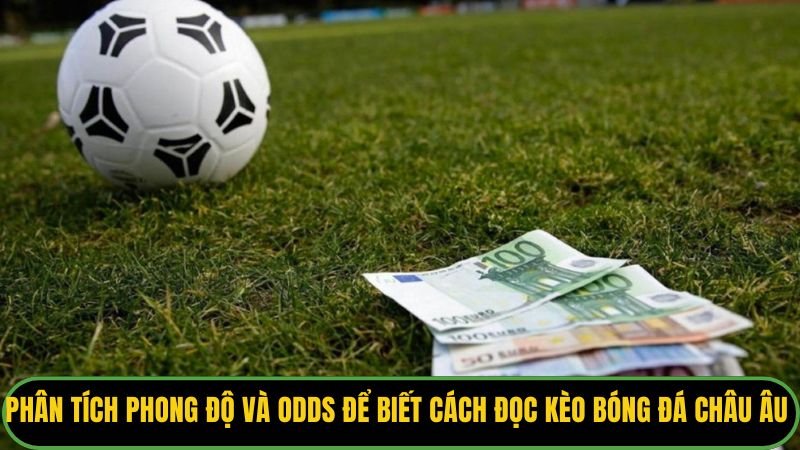 Phân tích phong độ và Odds để biết cách đọc kèo bóng đá Châu Âu chuẩn.