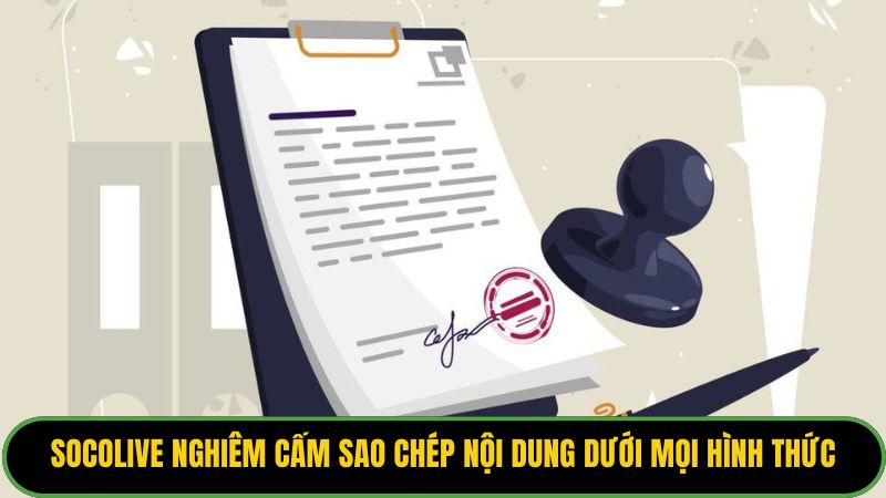 Socolive nghiêm cấm sao chép nội dung dưới mọi hình thức