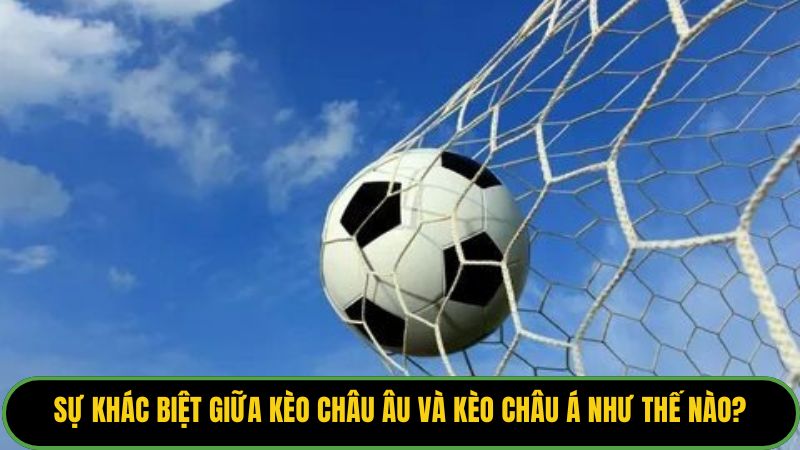 Sự Khác Biệt Giữa Kèo Châu Âu Và Kèo Châu Á