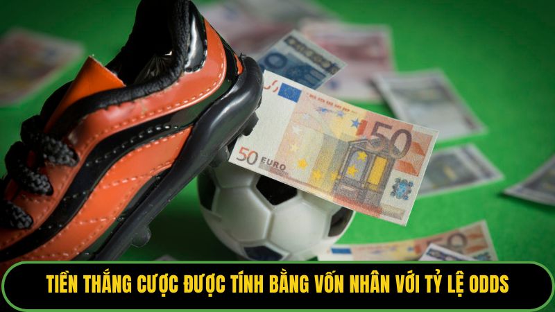 Tiền thắng cược được tính bằng vốn nhân với tỷ lệ Odds.